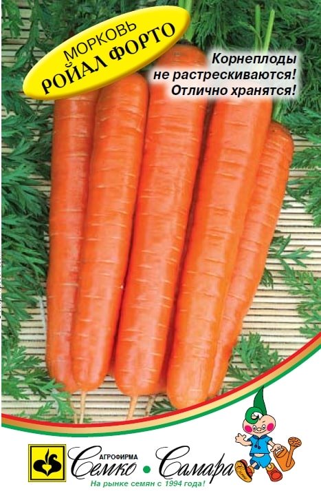 МОРКОВЬ РОЙАЛ ФОРТО