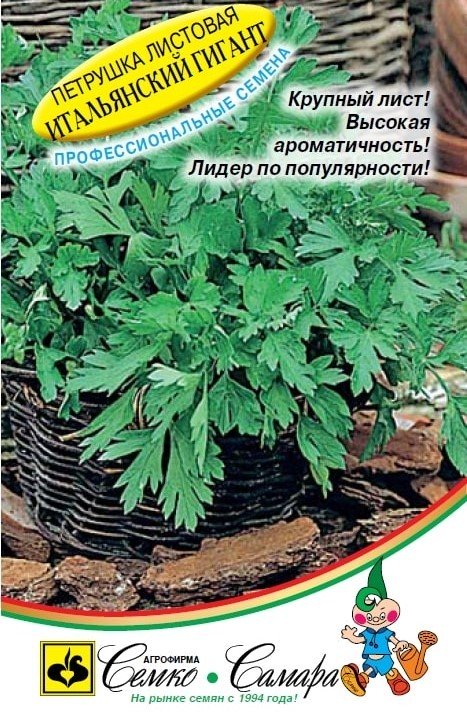 Петрушка листовая ИТАЛЬЯНСКИЙ ГИГАНТ