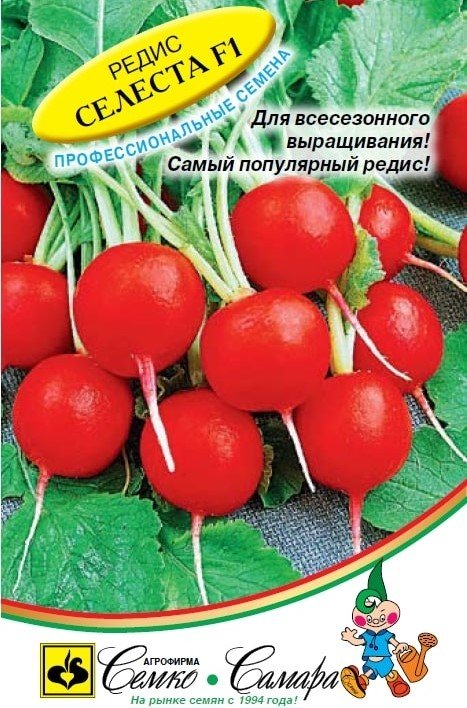 РЕДИС СЕЛЕСТА F1