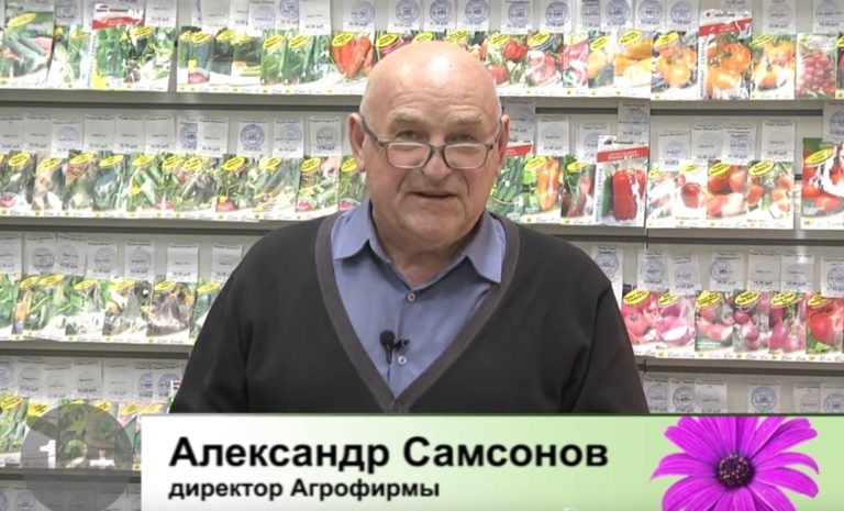 Дачные советы Галины Старосельцевой 17 Февраля 2022