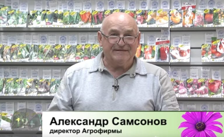 Дачные советы Галины Старосельцевой от 24 Февраля 2022