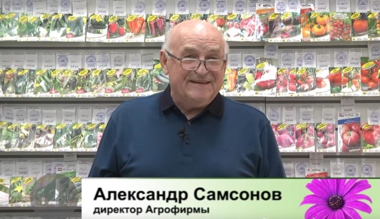 Дачные советы Галины Старосельцевой от 9 Февраля 2022