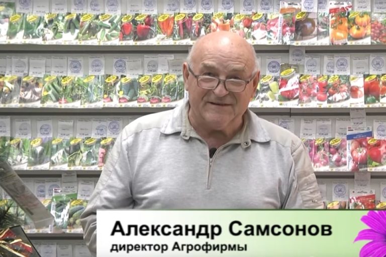Дачные советы от 03.02.2022