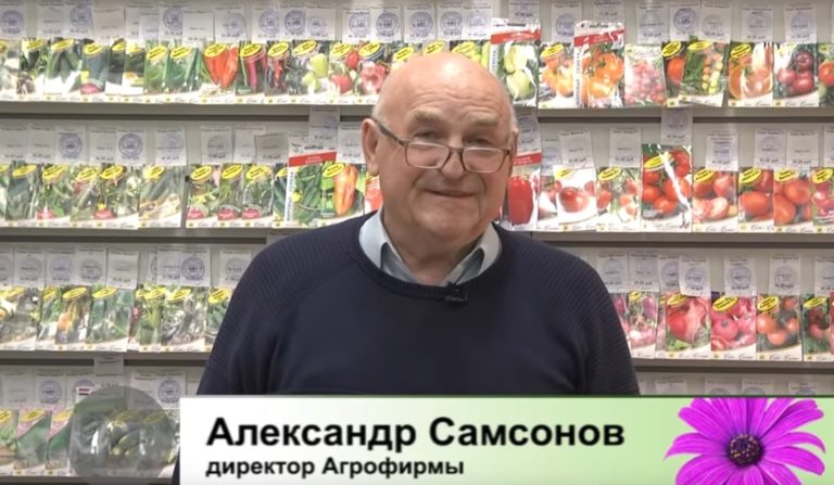 Дачные советы Галины Старосельцевой Март 03-2022