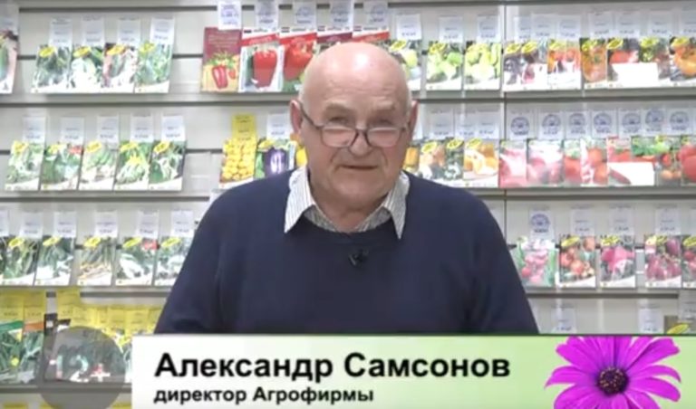 Дачные советы Галины Старосельцевой Март 24-2022