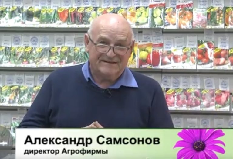 дачные советы от 3 марта 2022
