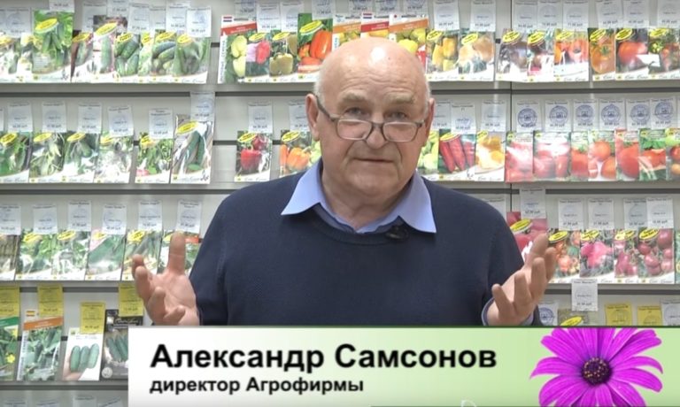 ДАЧНЫЕ СОВЕТЫ ОТ 31.03.2022