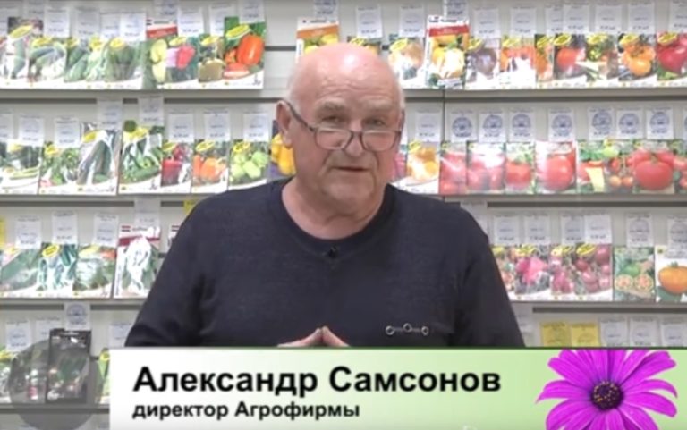 Дачные советы Галины Старосельцевой 14 Апреля 2022