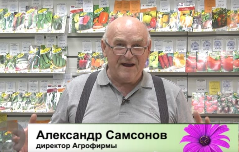 Дачные советы Галины Старосельцевой 21 Апреля 2022