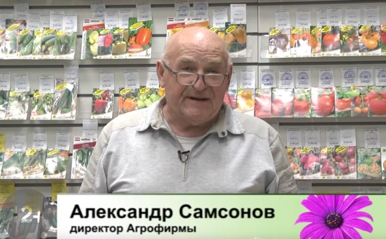 Дачные советы Галины Старосельцевой Апрель 07-2022