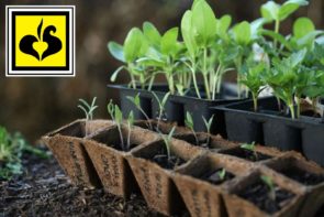 Новые технологии выращивания овощных культур — «Дачные советы», Май 2022