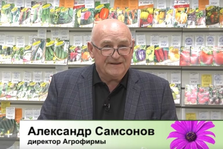 Дачные советы Галины Старосельцевой 28 Апреля 2022