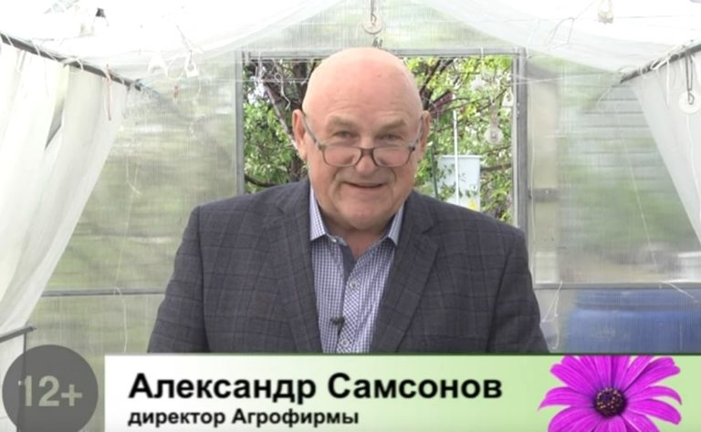 Дачные советы Галины Старосельцевой Май 19-2022