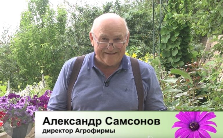 ДАЧНЫЕ СОВЕТЫ ОТ 23.06.2022