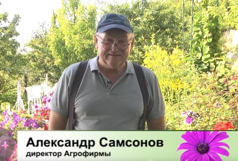 Дачные советы Галины Старосельцевой 16 Июня 2022