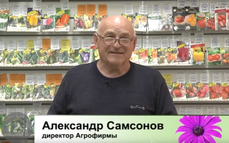 Дачные советы Галины Старосельцевой 9 Июня 2022