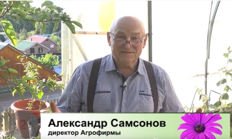 Дачные советы Галины Старосельцевой Июнь 02-2022
