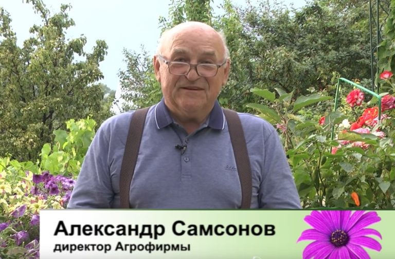 Дачные советы Галины Старосельцевой 14 Июля 2022