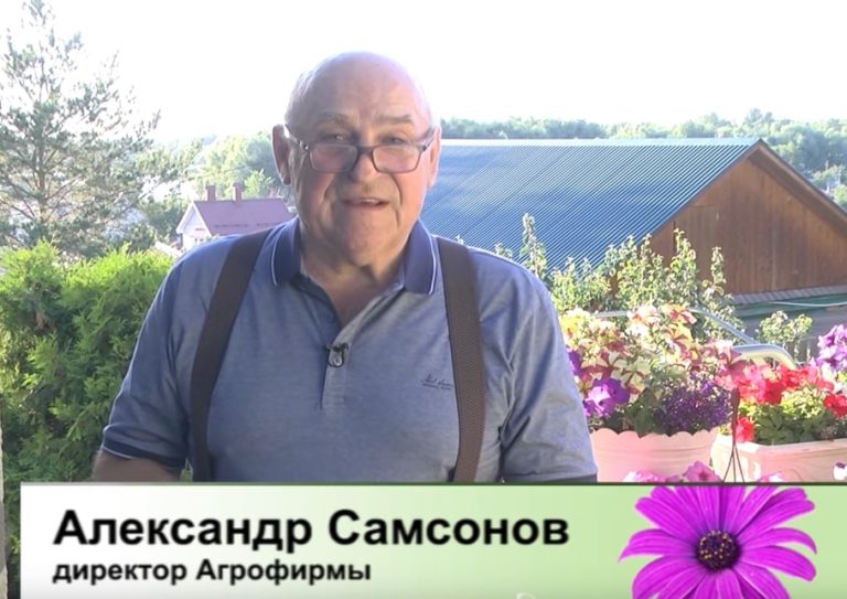Дачные советы Галины Старосельцевой от 7 Июля 2022
