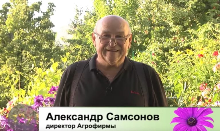 дачные советы от 30.06.2022