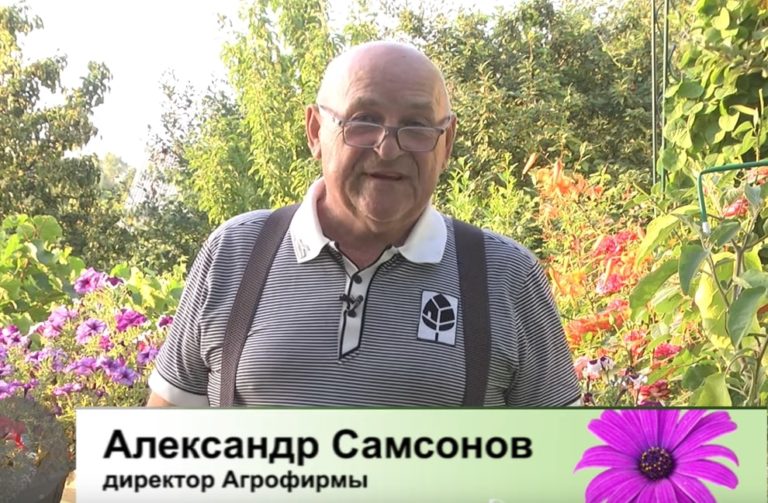 Дачные советы Галины Старосельцевой 04 Августа 2022