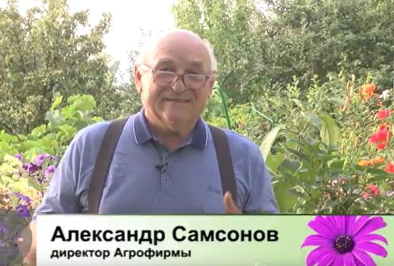 Дачные советы Галины Старосельцевой 28 Июля 2022