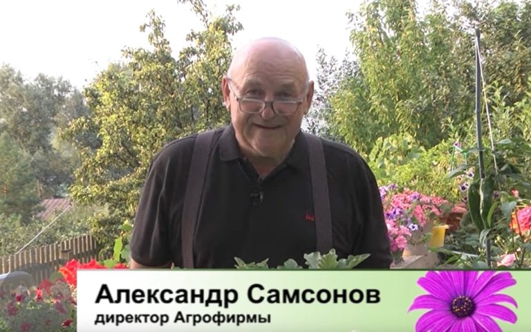 Дачные советы Галины Старосельцевой от 11 Августа 2022