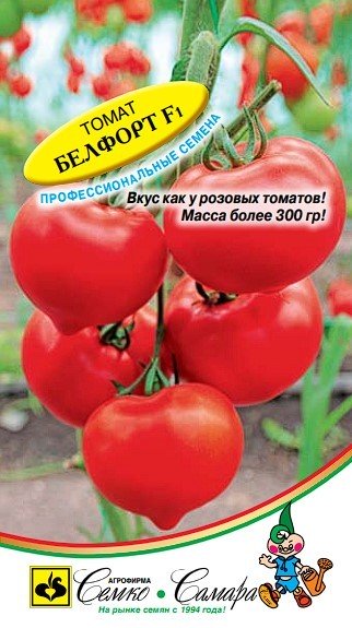 томат Белфорт