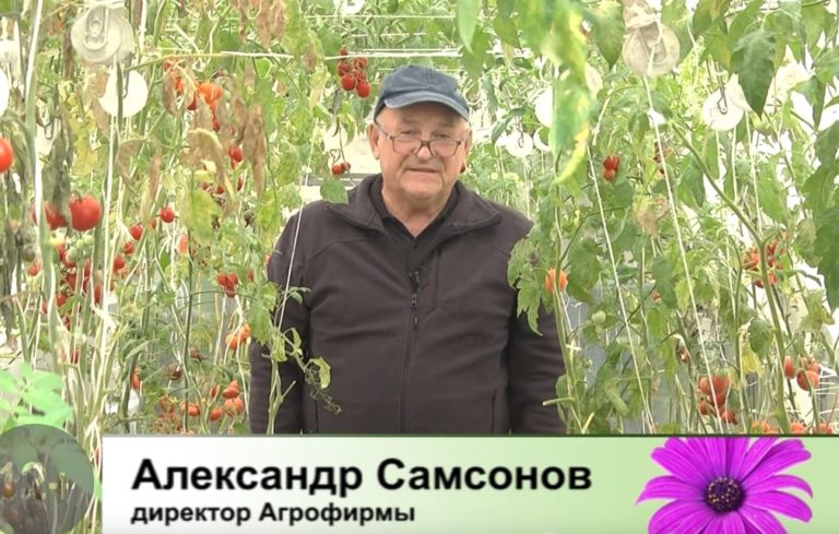 ДАЧНЫЕ СОВЕТЫ ОТ 15.09.2022