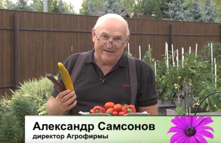 ДАЧНЫЕ СОВЕТЫ ОТ 25.08.2022