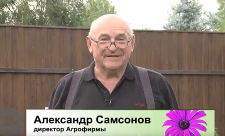 Дачные советы Галины Старосельцевой от 1 Сентября 2022