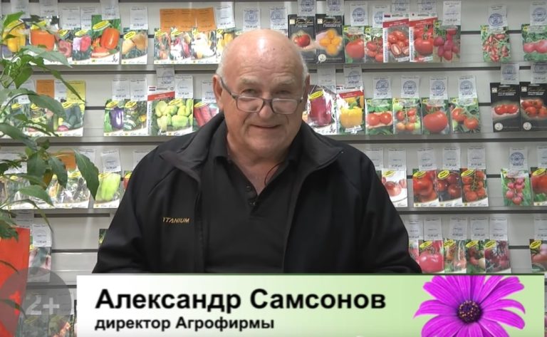 Дачные советы от 30 сентября 2022