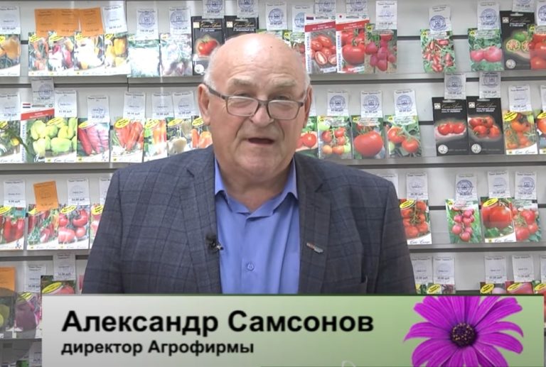 ДАЧНЫЕ СОВЕТЫ ОТ 20.10.2022