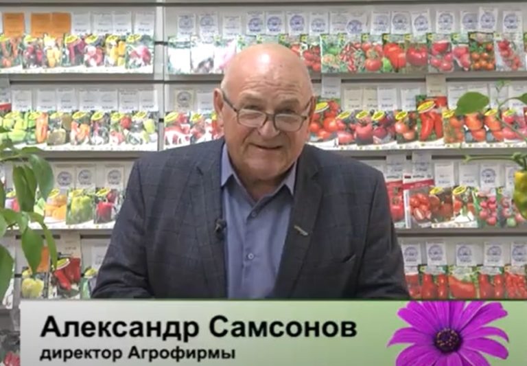 ДАЧНЫЕ СОВЕТЫ ОТ 27.10.2022