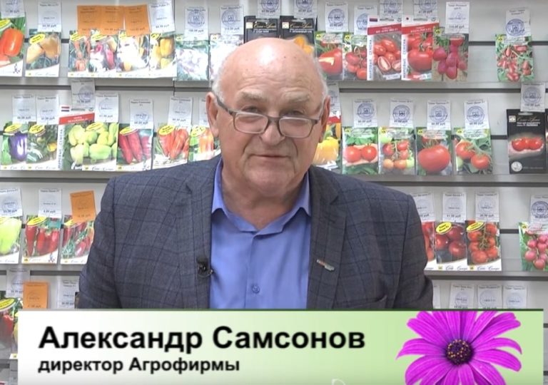 Дачные советы Галины Старосельцевой Октябрь 13-2022