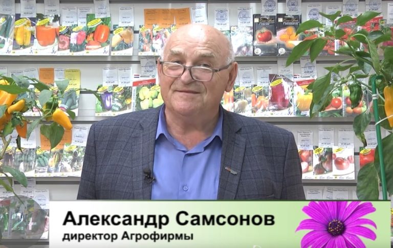 Дачные советы от 6 октября 2022