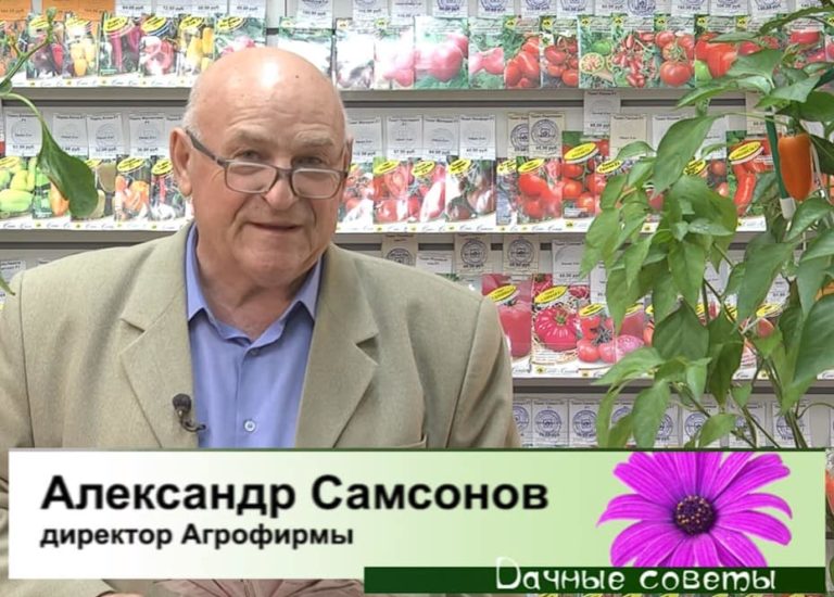 ДАЧНЫЕ СОВЕТЫ ОТ 03.11.2022