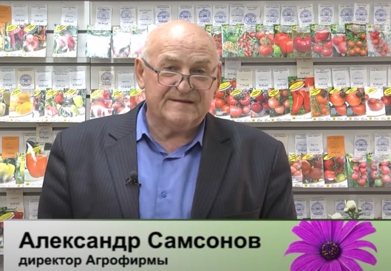 ДАЧНЫЕ СОВЕТЫ ОТ 03.11.2022