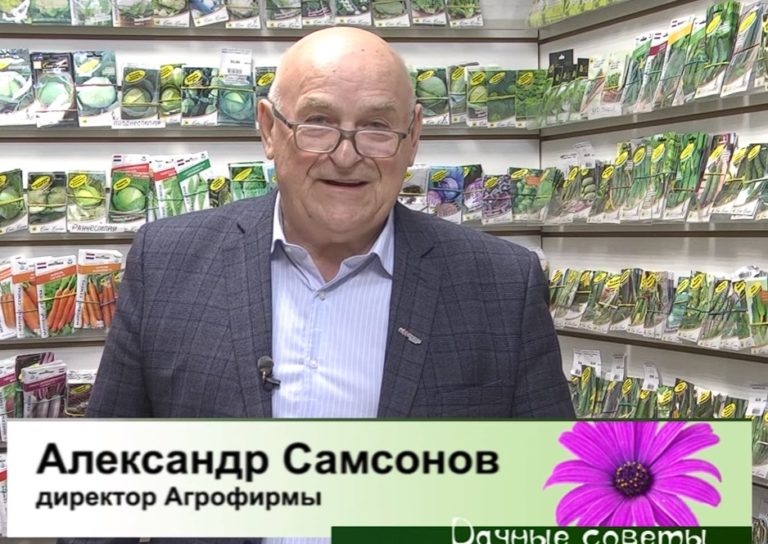 Дачные советы от 02.02.2023