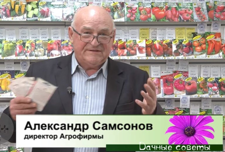 дачные советы от 16.02.2023