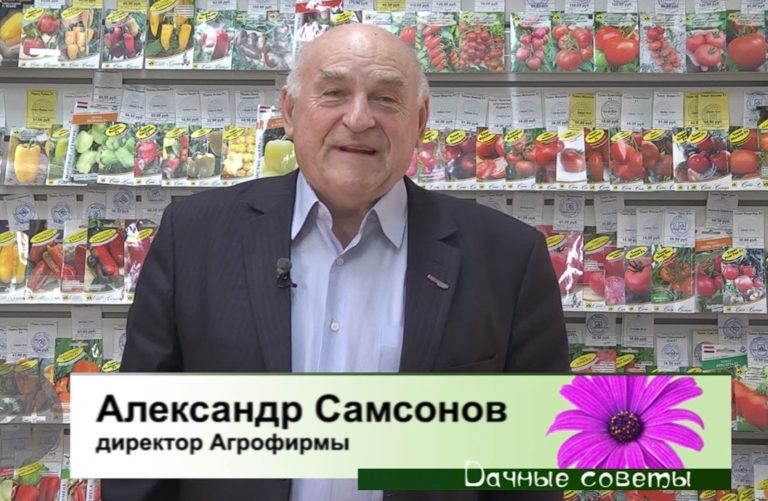 Дачные Советы 09.03.2023