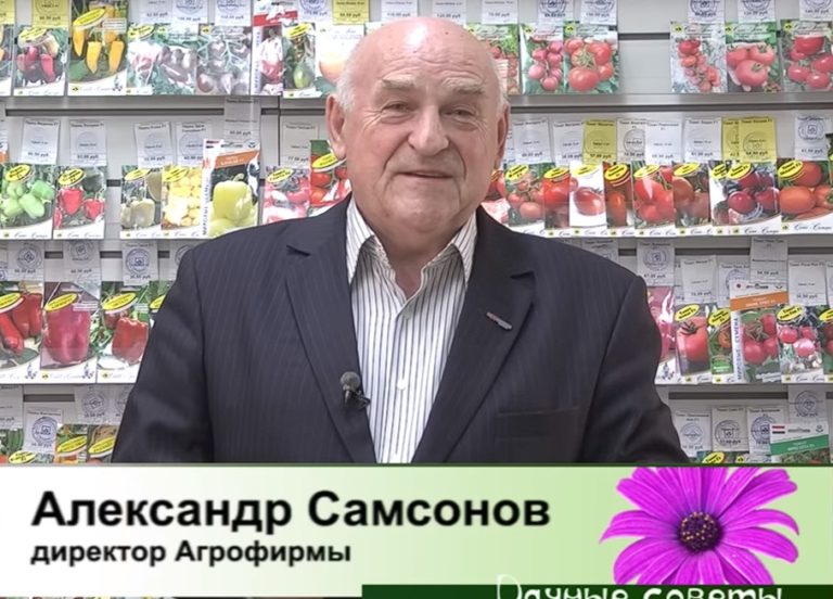 Дачные Советы 04.04.2023