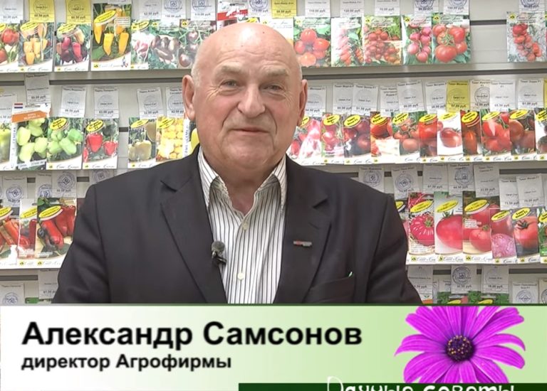 Дачные Советы 13.04.2023