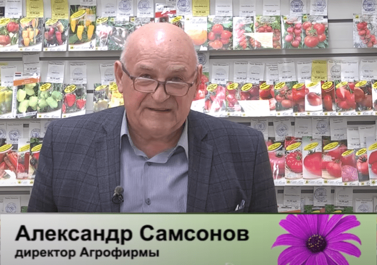 дачные советы от 20.04.2023