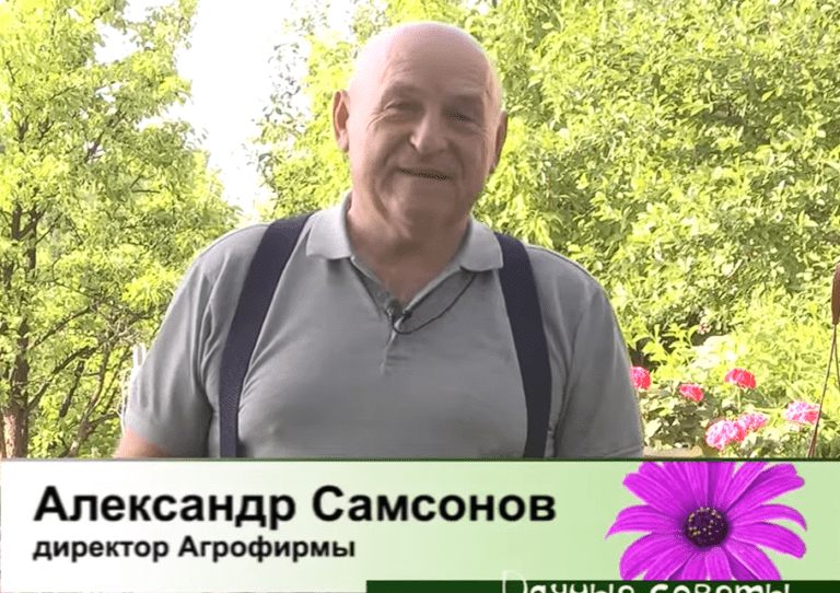 Дачные советы от 25.05.2023