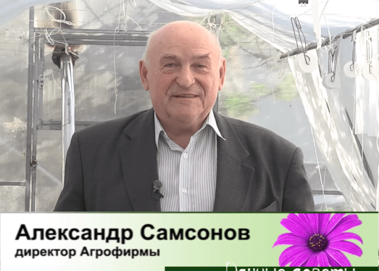 дачные советы от 11.05.2023