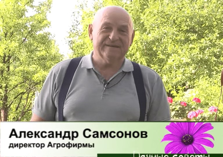 Дачные советы от 25.05.2023