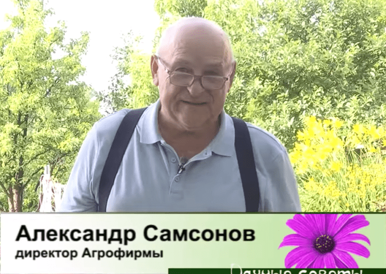 дачные советы от 06.06.2023