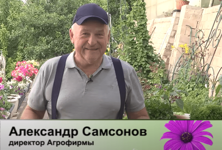 дачные советы от 08.06.2023