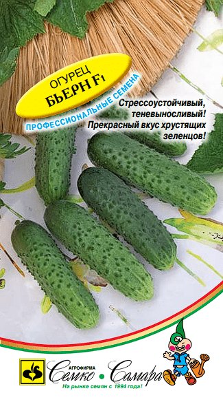 Огурец Бьерн F1